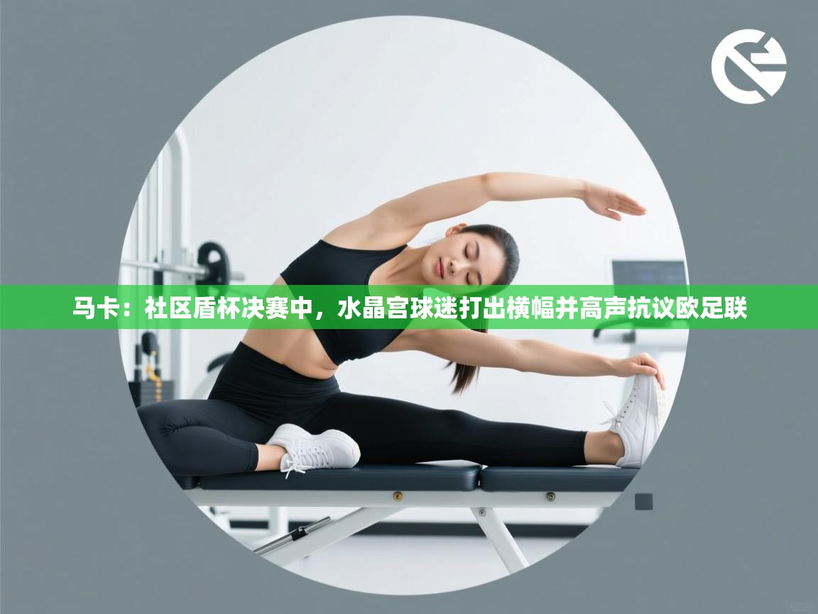 马卡:社区盾杯决赛中,水晶宫球迷打出横幅并高声抗议欧足联 第1张