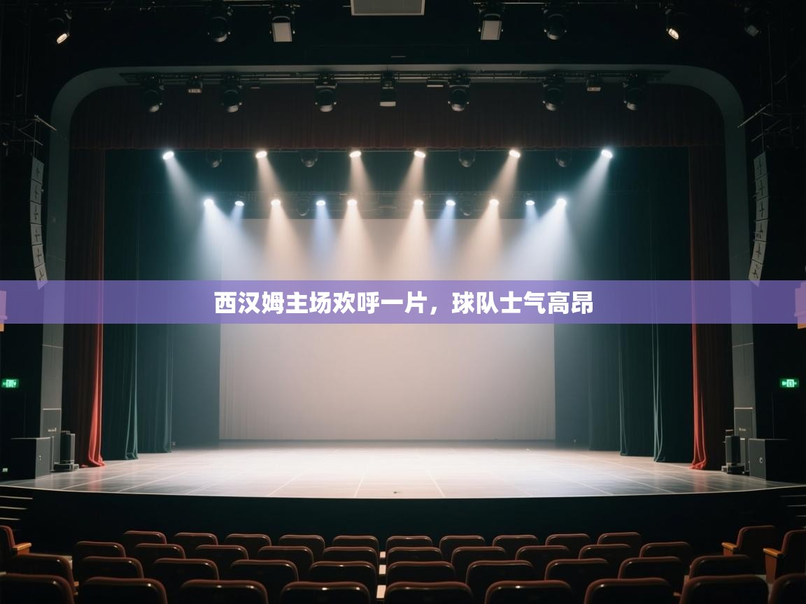 西汉姆主场欢呼一片，球队士气高昂  第1张