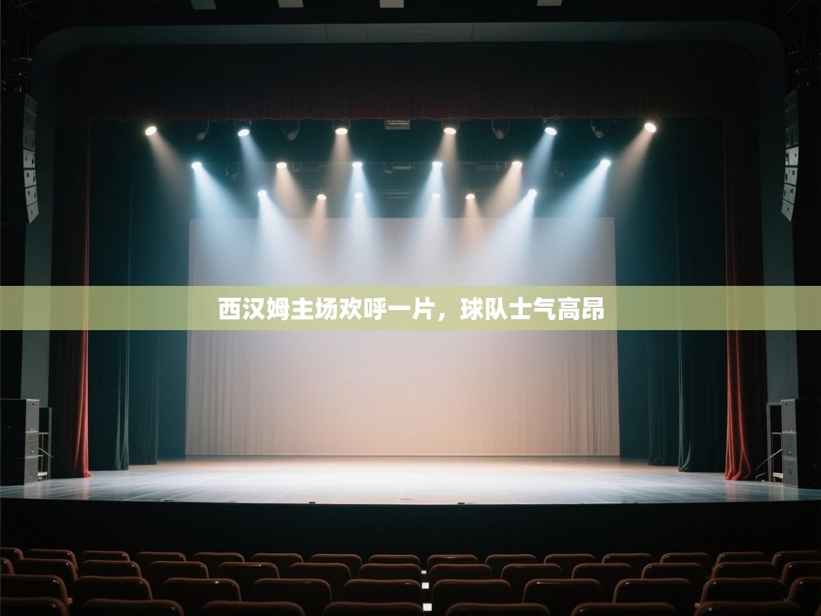 西汉姆主场欢呼一片，球队士气高昂  第2张