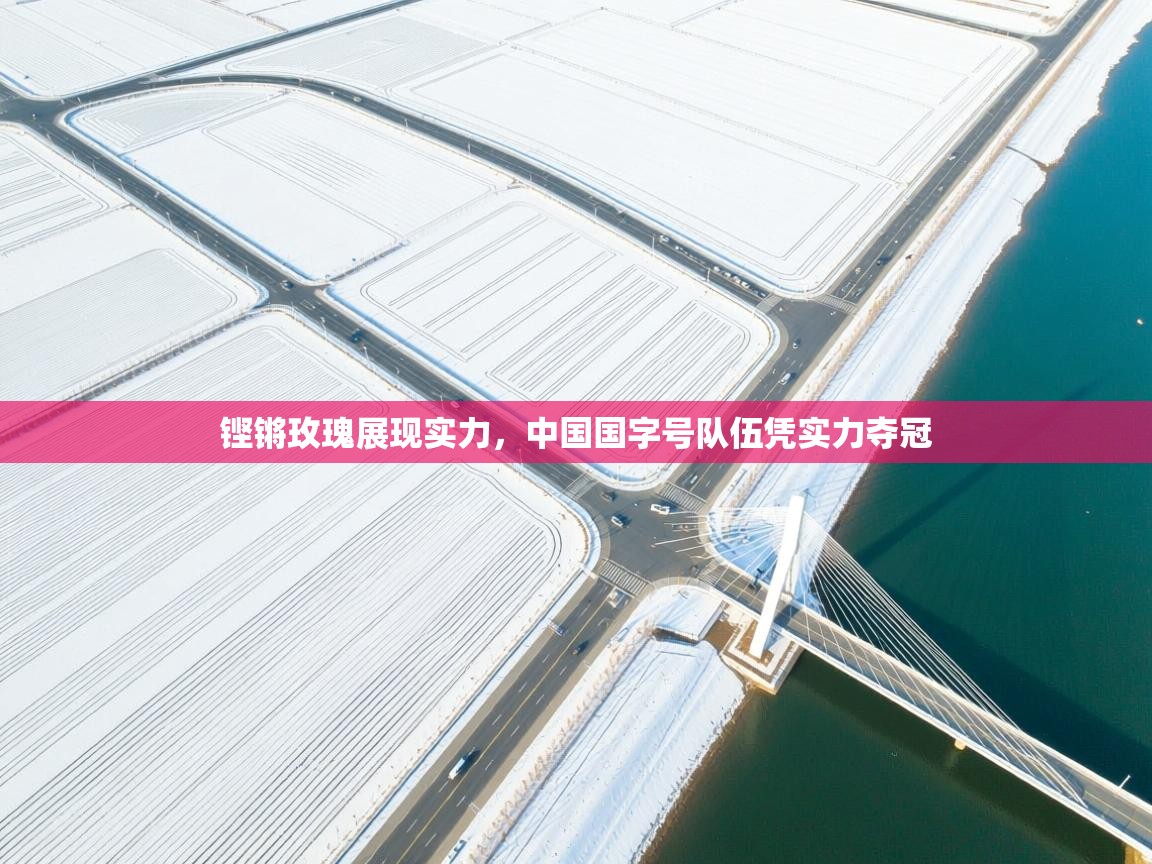 铿锵玫瑰展现实力，中国国字号队伍凭实力夺冠  第1张