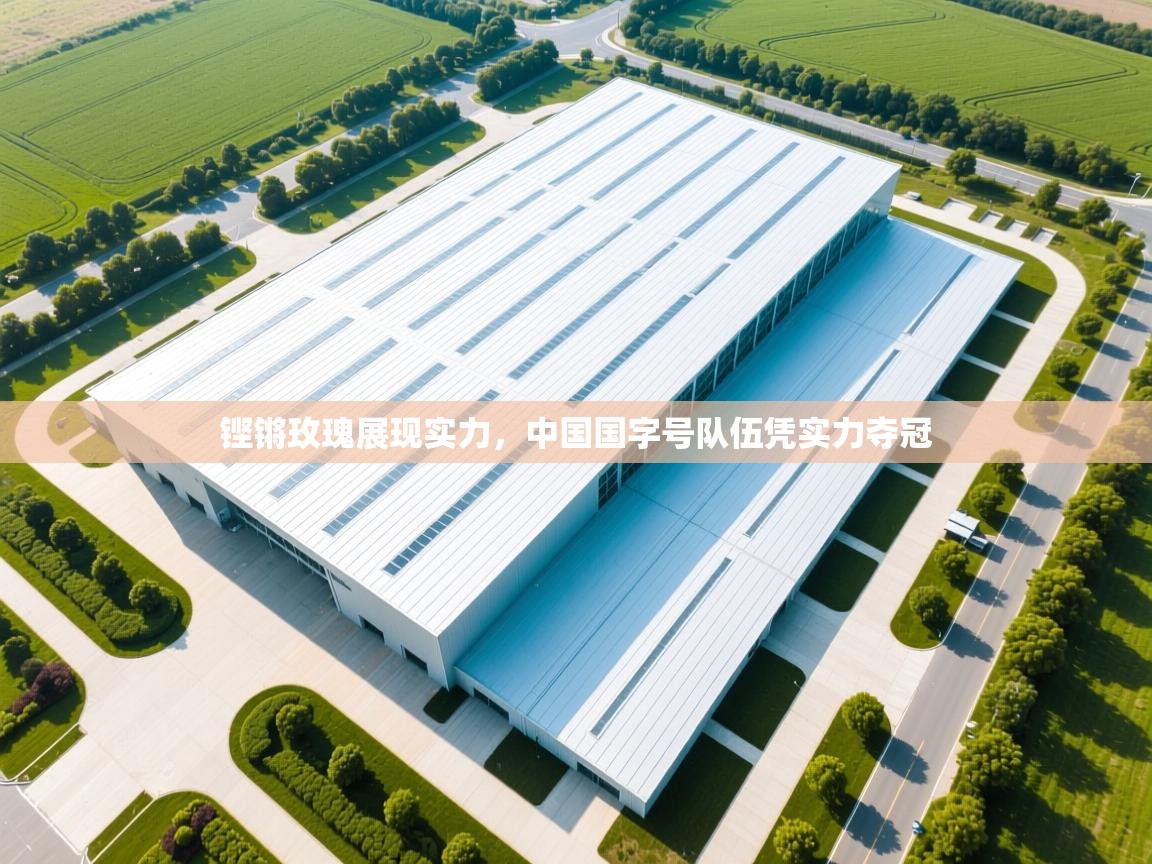 铿锵玫瑰展现实力，中国国字号队伍凭实力夺冠  第2张