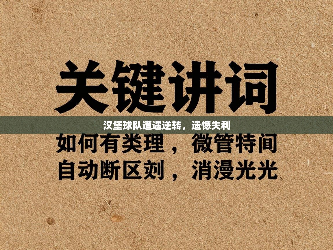 汉堡球队遭遇逆转，遗憾失利  第1张