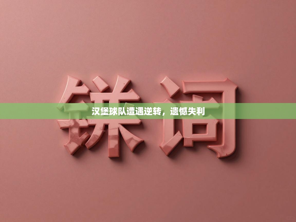 汉堡球队遭遇逆转，遗憾失利  第2张