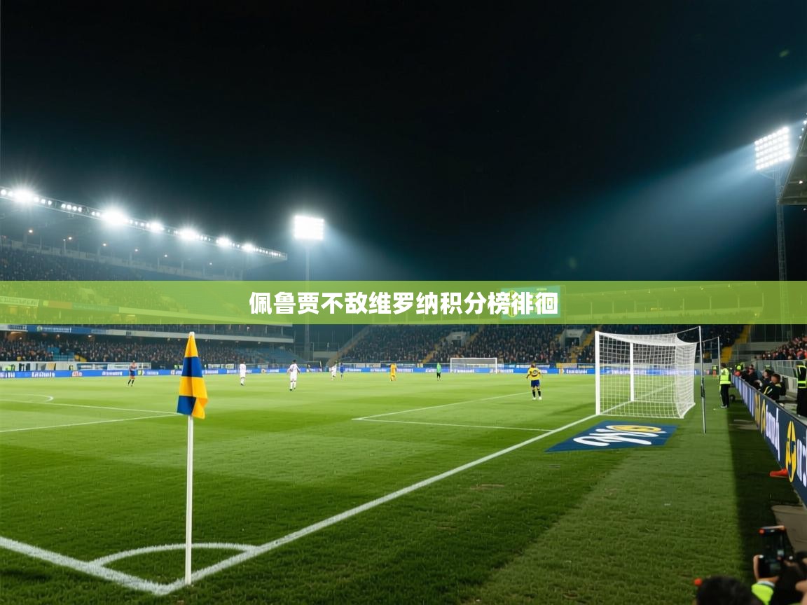 佩鲁贾不敌维罗纳积分榜徘徊  第1张