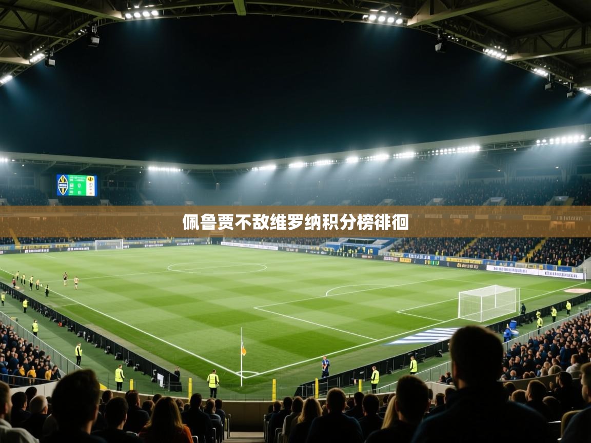 佩鲁贾不敌维罗纳积分榜徘徊  第2张