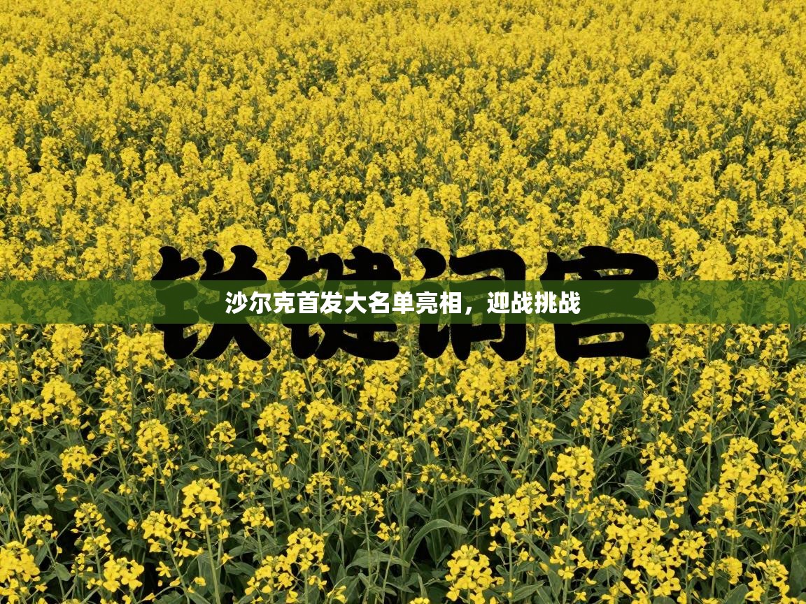 沙尔克首发大名单亮相，迎战挑战  第1张